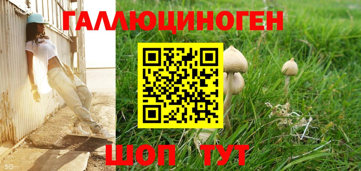 Луховицы  Псилоцибиновые грибы Psilocybine cubensis  Вход с VPN 