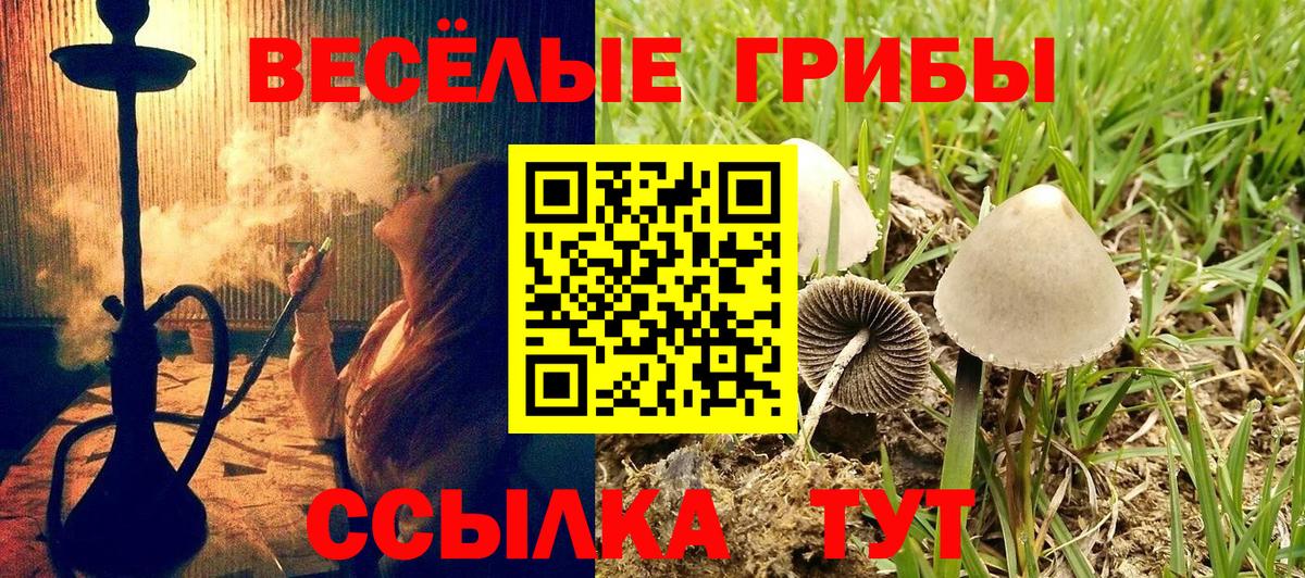 Псилоцибиновые грибы мицелий Луховицы